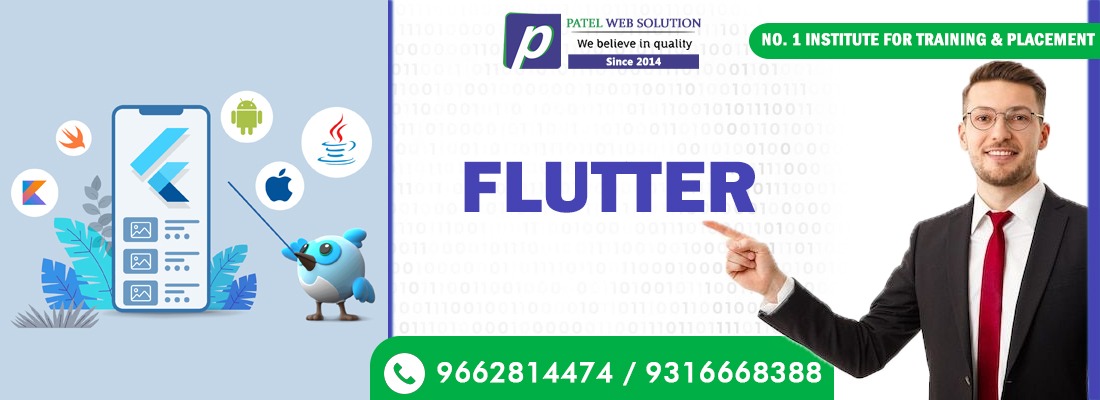 Flutter Developer Collage Friends